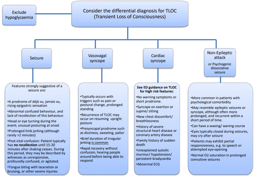 Differential diagnosis flowchart