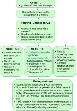Hypertriglyceridemia flowchart
