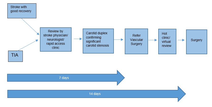 Flow chart outlining pathway recommendations for carotid endarterectomy