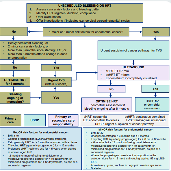 post menopausal bleeding