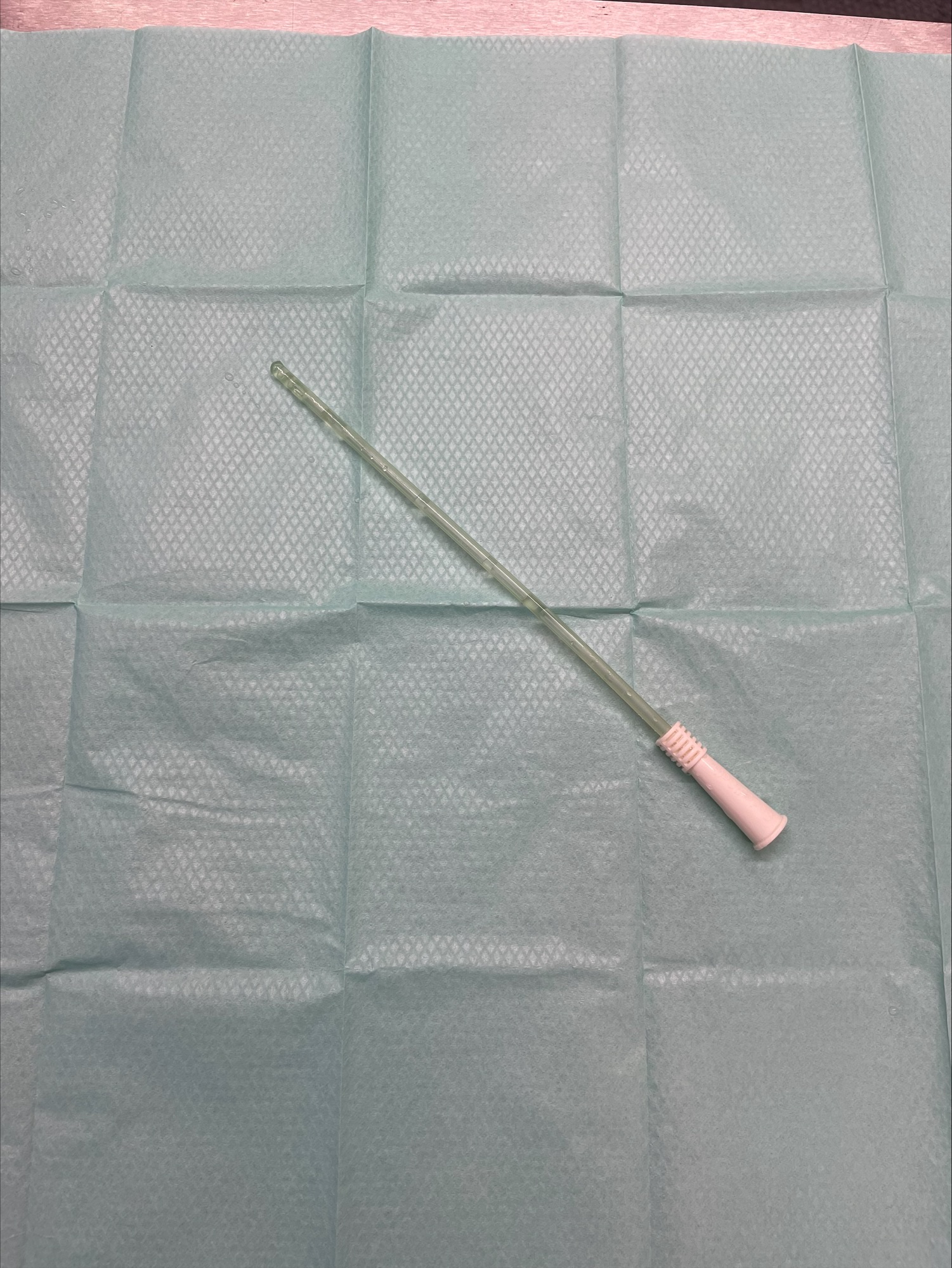 Female Speedicath ISC