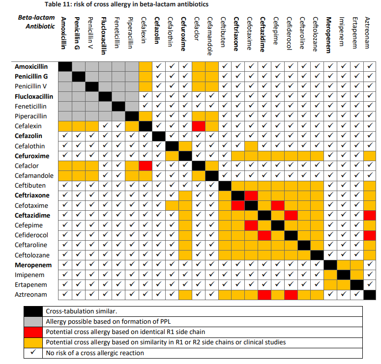 chart showing varous beta-lactam antibiotics and the risk of cross-reactivity related to side chain homology.